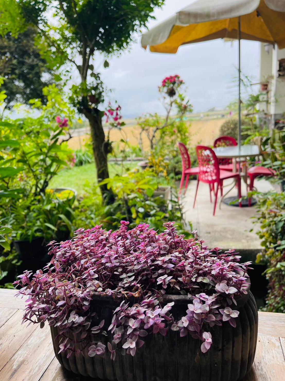 Xian Qing Yu Zhi Homestay Chishang Exterior foto